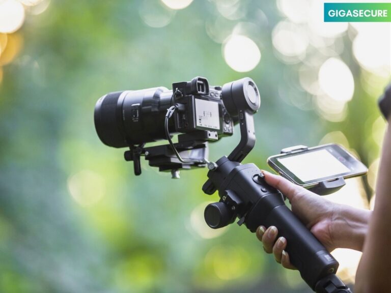 What Makes an Outdoor Camera “Pet Friendly”